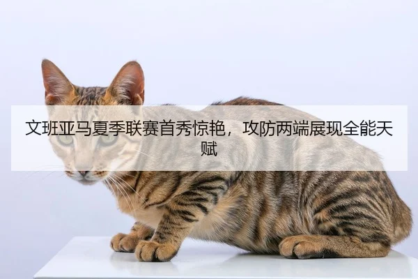 文班亚马夏季联赛首秀惊艳，攻防两端展现全能天赋