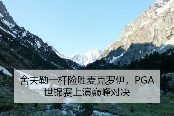 舍夫勒一杆险胜麦克罗伊，PGA世锦赛上演巅峰对决