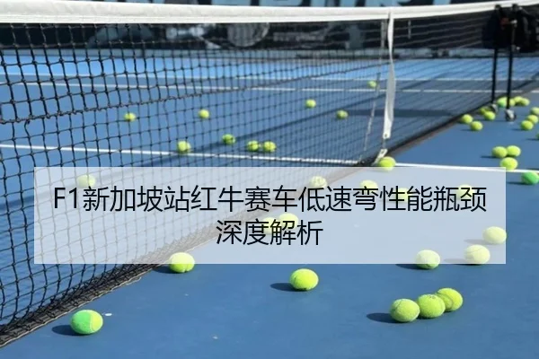 xin-jia-po-zhan-hong-niu-sai-che-di-su-wan-xing-neng-ping-jing-shen-du-jie-xi-3-454.jpg